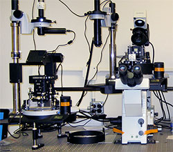 Multifunctional Scanning Probe/Confocal-Raman