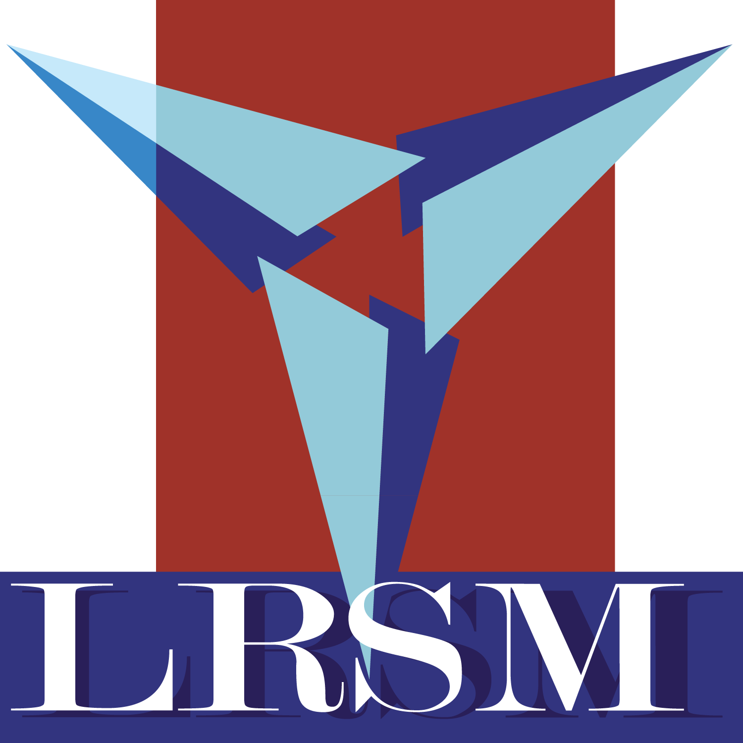Image result for lrsm logo