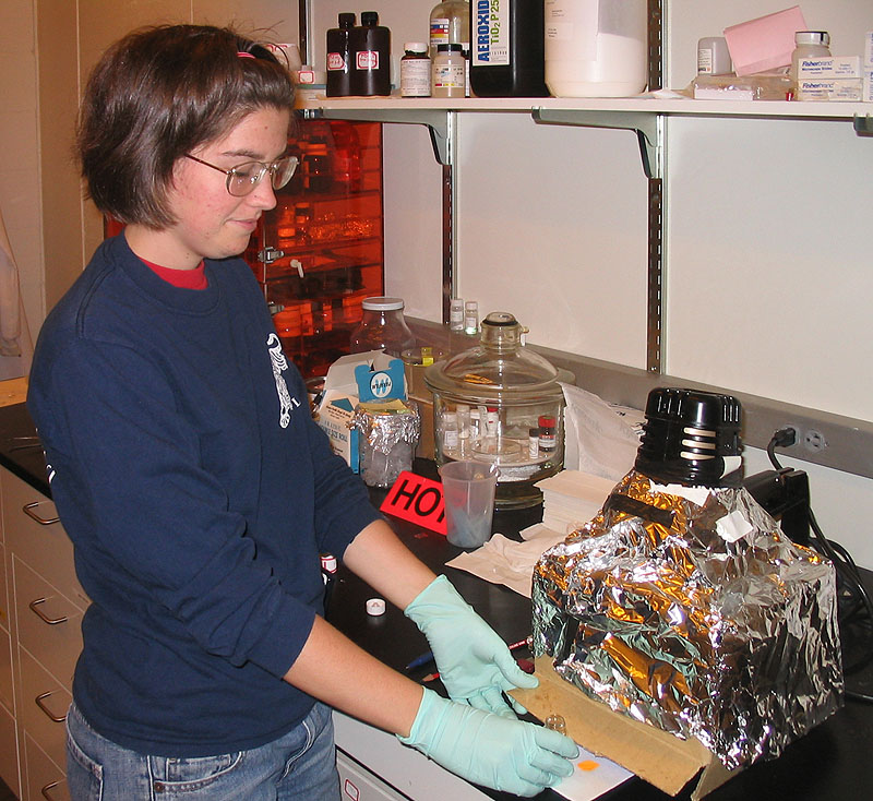 RET Program Teacher working in the lab.