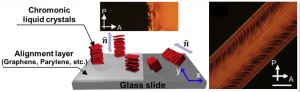 Fig. 1. (left) Homeotropic (perpendicular) versus planar (parallel) alignment of chromonic liquid crystals due to surface alignment layers. (right) Snapshot of transient stripe texture of CLCs in a capillary with homeotropic alignment.