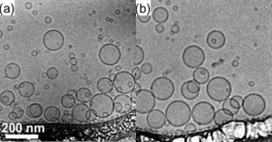 Cryo-TEM confirming the formation ofglycodendrimersomes.