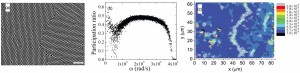 Fig. 1. (a) Snapshot of PNIPAM colloidal polycrystal with a grain boundary; the scale bar is 10 μm. (b) Color contour plots indicate soft spots  that correlate well with “defect” particles identified by local structural parameters [1].