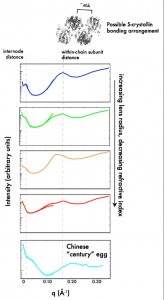 Figure 2. SAXS-determined structure factors of the radial gradient of squid lens material and Chinese “century” egg. Panels 1-4: structure factor of intact squid lens using protein dimer atomic coordinates as form factor.Panel 5: structure factor ofintact, preserved egg usingraw egg protein as form factor. 