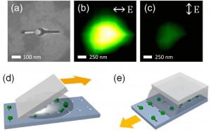 Figure 1 – (a) SEM image of a nanorod/nanophosphor heterodimer created using template-assisted self-assembly. Upconverted light emission for excitation polarization (b) longitudinal and (c) transverse to the nanorod axis. Strong emission for longitudinal polarization reflects plasmonic enhancement of absorption. Schematics showing the (d) "squeegee" and (e) capillary template-assembly methods developed. 