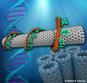 A.T. Charlie Johnson / A ‘Bionic Nose’ to Smell Cancer - From Small Science to Major Applications