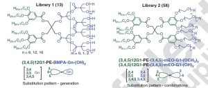 8.10 IRG3 janus dendrimers 1