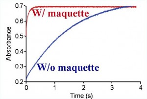 Electron transfer across membrane Four helix maquettes assembled with cofactors into lipid membranes transfer electrons significantly faster (red line) than cofactors freely diffusing within the membrane (blue line).