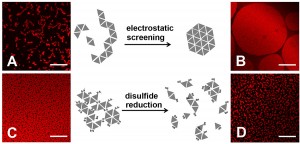 figure 2 graphic