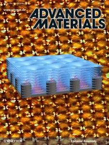 Epitaxial assembly of toric focal conic domains (TFCDs) of smectic-A (SmA) liquid crystal molecules on SU-8 square pillar arrays. Background is the Maltese cross pattern observed in polarized optical microscope, representing the square array of TFCDs. Figure credits: Apiradee Honglawan, Daniel A. Beller, Marcello Cavallaro, Randall D. Kamien*, Kathleen J. Stebe, and Shu Yang.