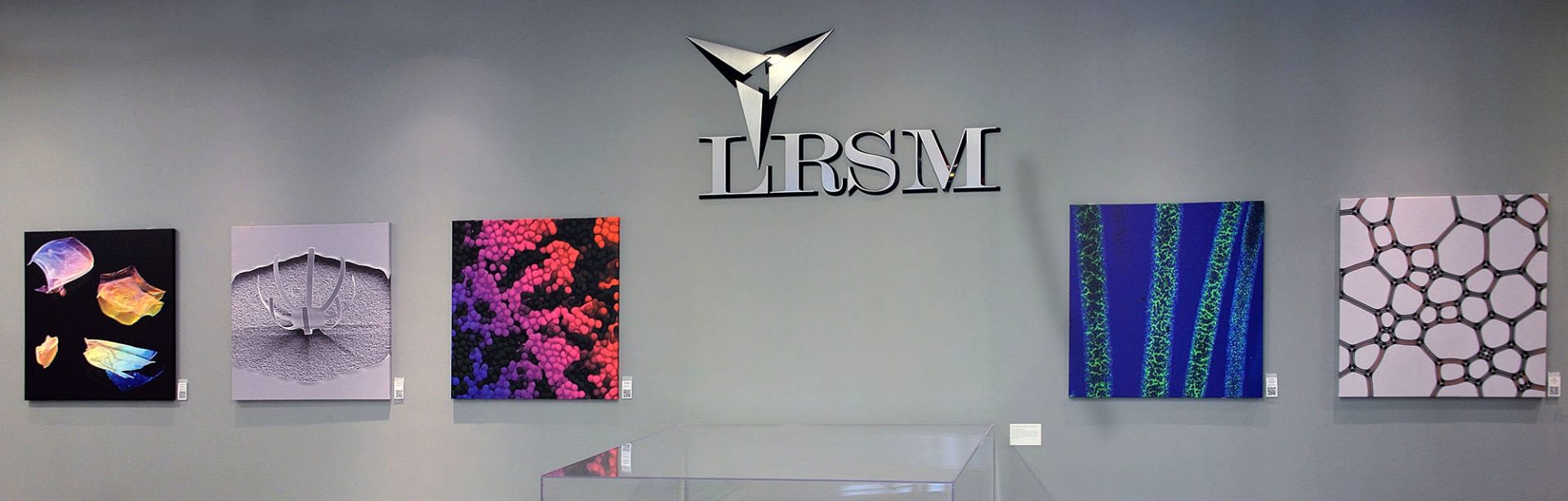 LRSM Lobby artwork