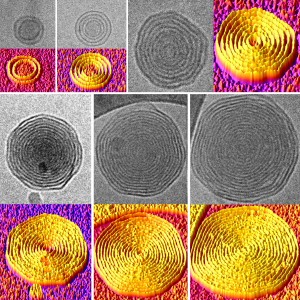 ‘Onion’ Vesicles