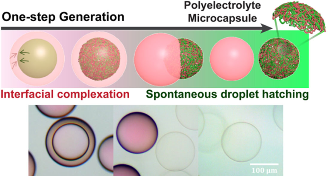 Schematic illustration (top) and optical microscope images (bottom) showing one-step generation of polyelectrolyte microcapsules using nanoscale interfacial complexation in emulsions (NICE).