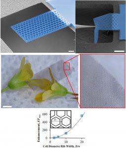 Our plate metamaterials weigh as little as 0.1 g/cm2 and have the ability to ‘pop-back’ to their original shape without damage even after undergoing multiple sharp bends of more than 90 degree.