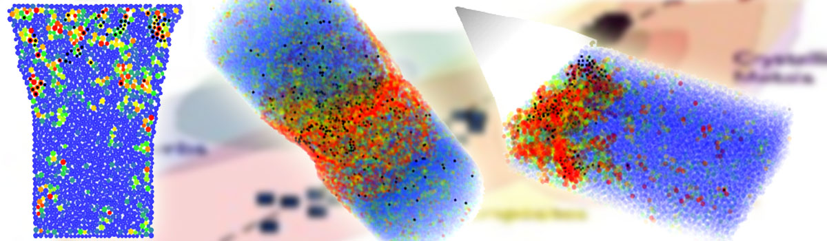 graphic for Universality of Microscopic Structure and Macroscopic Mechanical Response in Disordered Packings Across Length Scales