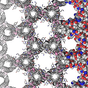 Jeffery G. Saven / Sculpting Protein