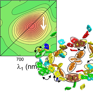 Jessica M. Anna / From Photosynthesis to Photovoltaics: Learning about Solar Energy Conversion from Photosynthesis