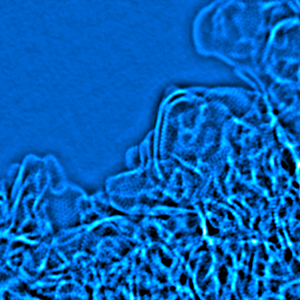 Erich Stach / Understanding the Structure of Materials Atom By Atom