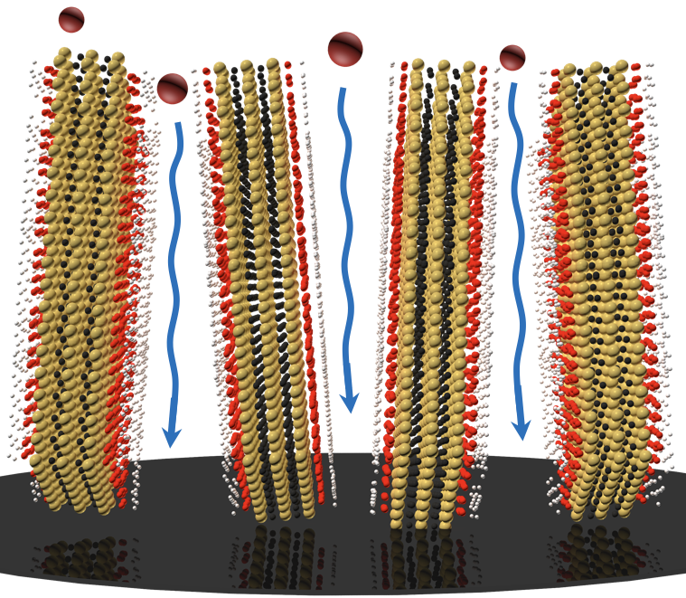 Shu Yang, with IRG3, are Making Atomic Thin Nanosheets Stand Up for Better Energy Storage