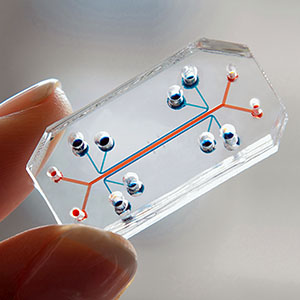 Dongeun (Dan) Huh / Mimicking Human Organs on a Chip