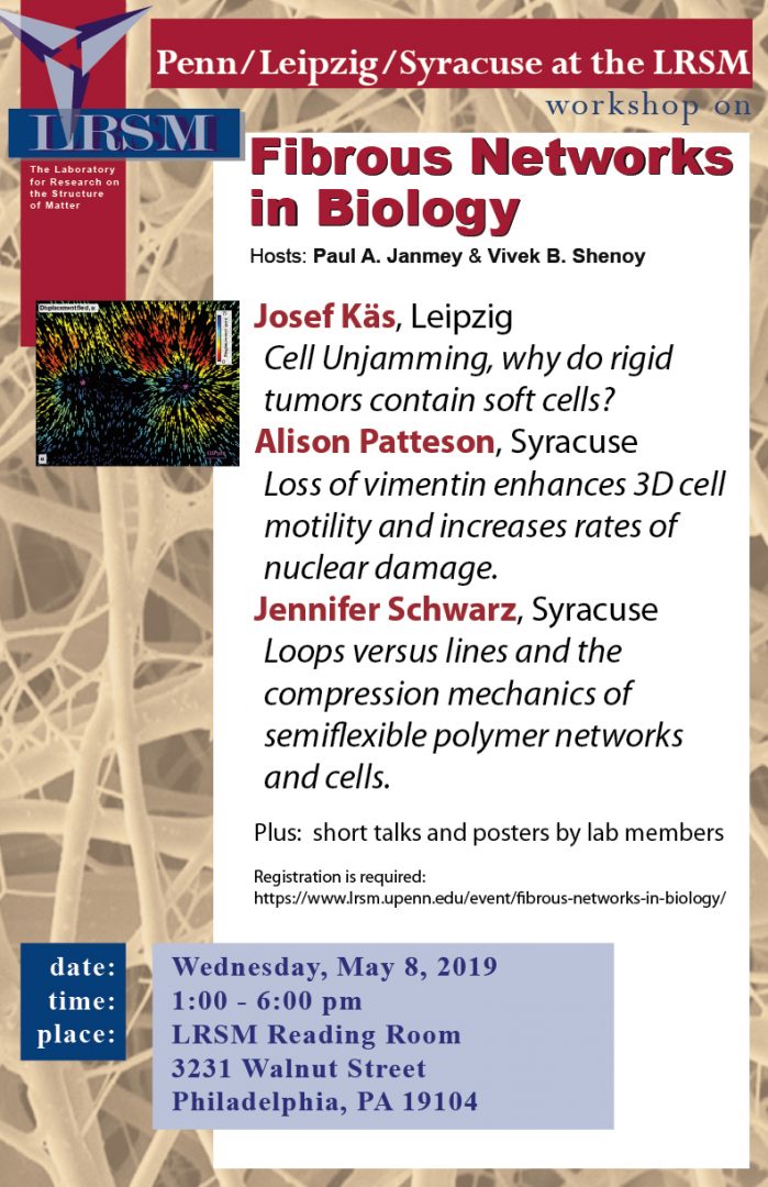 Fibrous-Networks-in-Biology_5.8.19-01