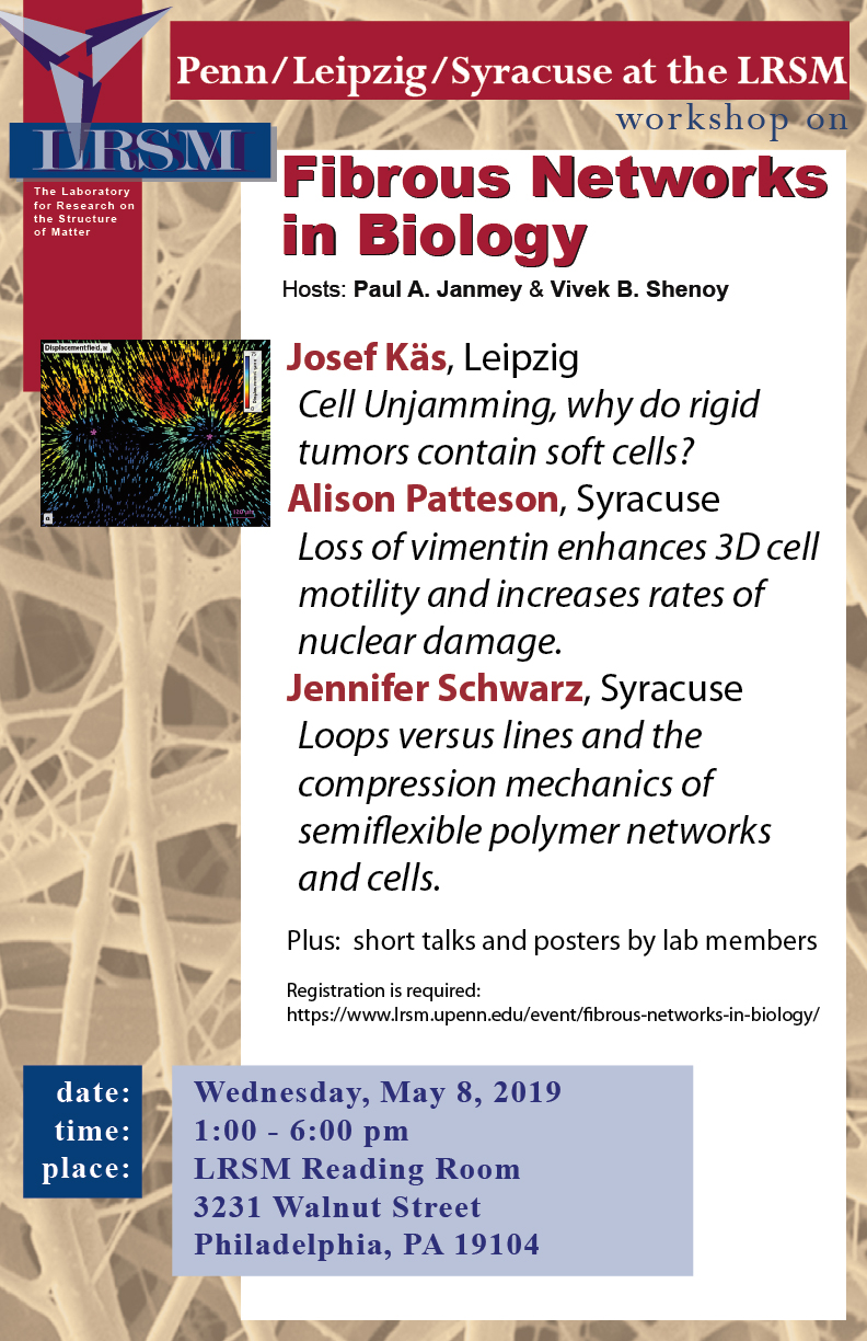 Fibrous-Networks-in-Biology_5.8.19-01