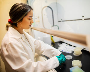 An Authentic Research Experience for Undergraduates