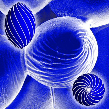 LRSM Team Creates and Understands Novel Chiral Microparticles