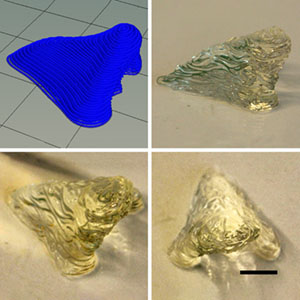 Jason Burdick / Advances in 3D Printing for Medical Applications