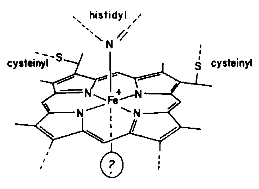 Electronic spectrum of single crystals