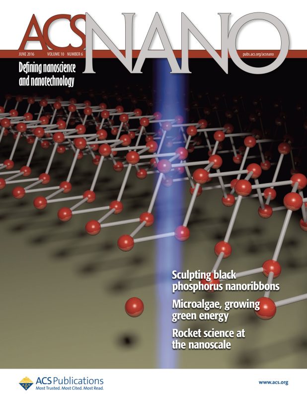 ACS Nano cover 2016, Drndic