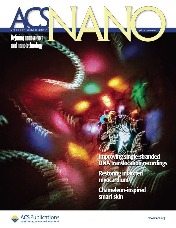 ACS Nano cover 2016, Drndic