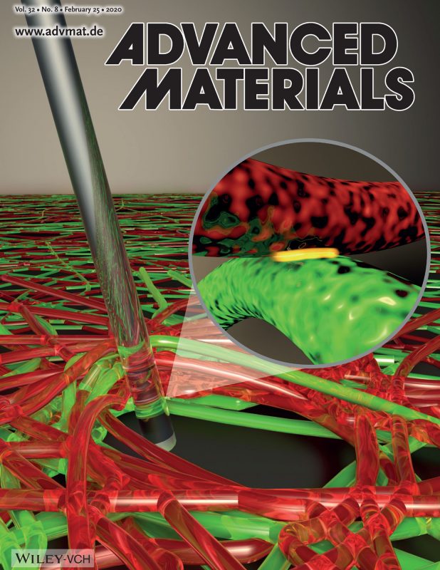 Advanced Materials cover 2020, Burdick