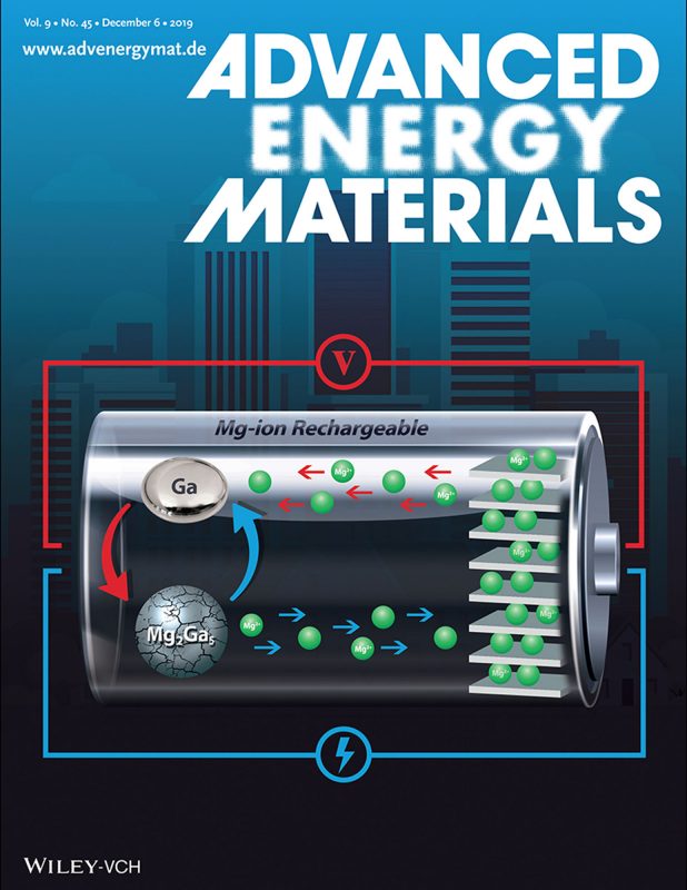 Advanced Energy Materials 2019, Detsi