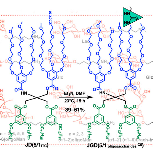 Synthetic Nanovesicles Coated with Oligomannose Can Help Understanding Glycans on Coronavirus