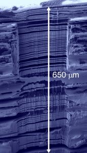 Secondary electron image of a microfabricated metal/polymer multilayer structure