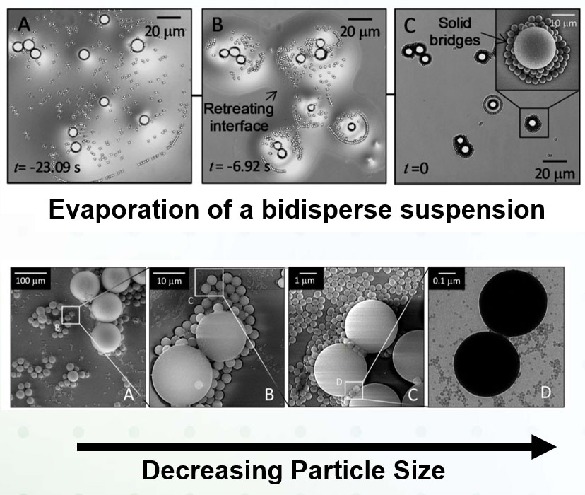 figure of Evaporation of a bidisperse suspension & Decreasing Particle Size