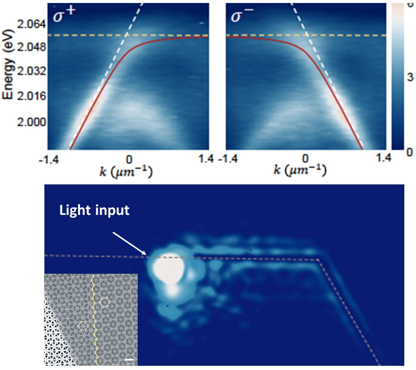 helical topological exciton-polaritons, a new type of quasiparticle
