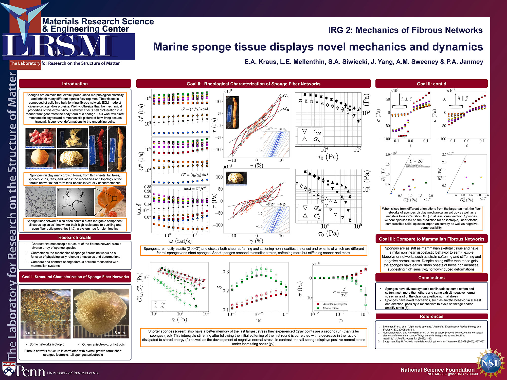 IRG2 E.A. Kraus 2021 poster