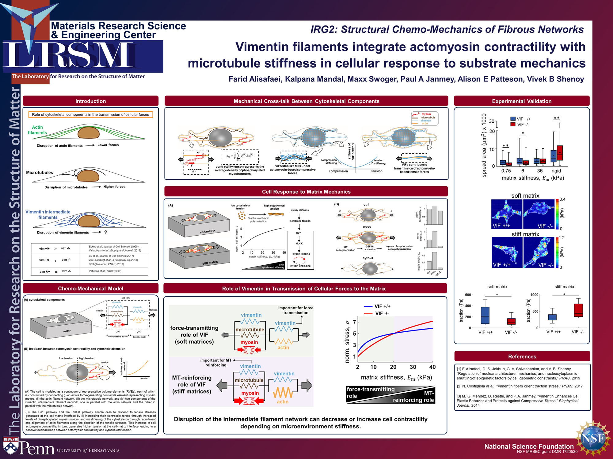 IRG2 Farid Alisafaei Shenoy Vimentin 2021 poster