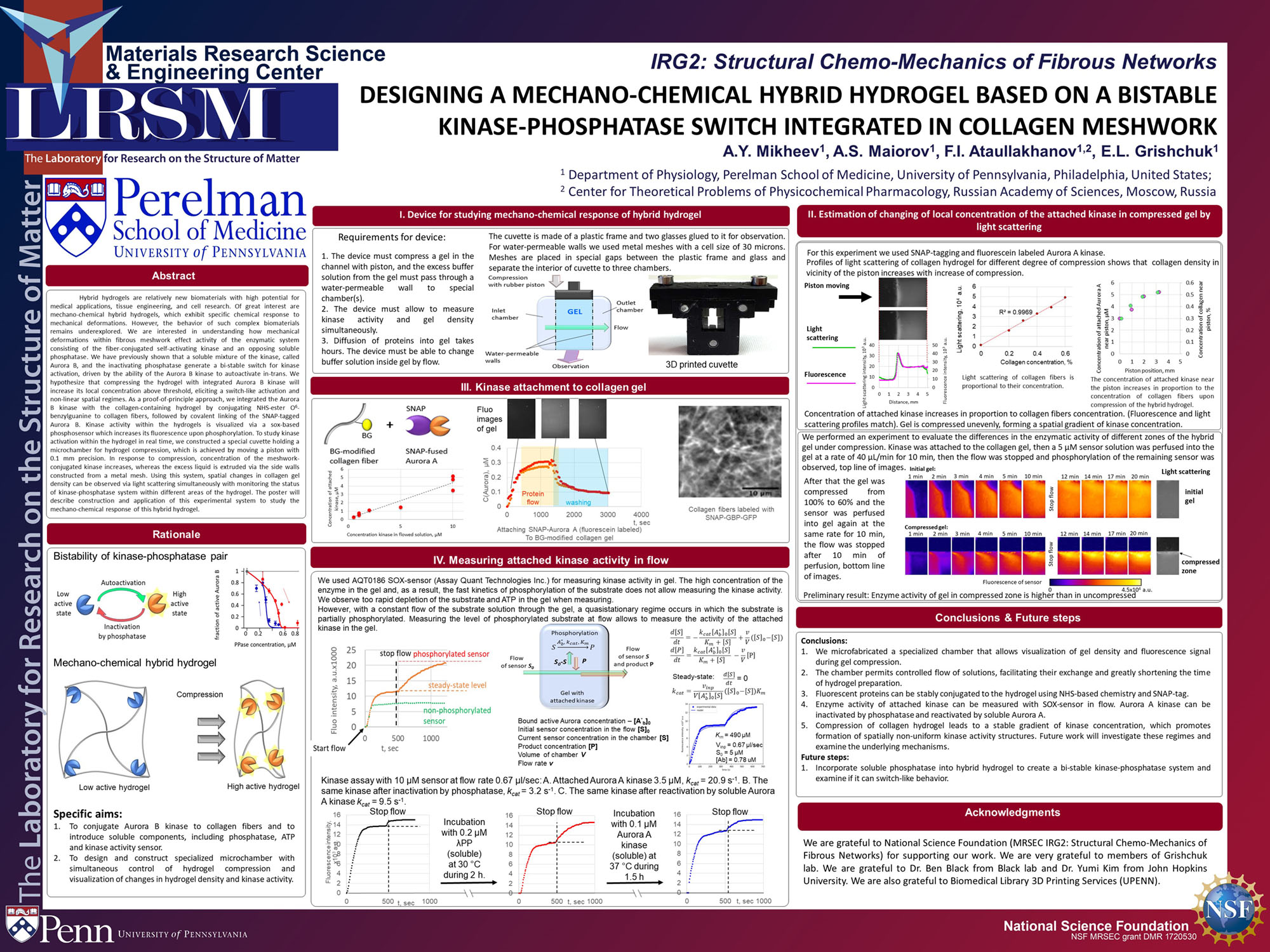 IRG2 Mikheev 2021 poster