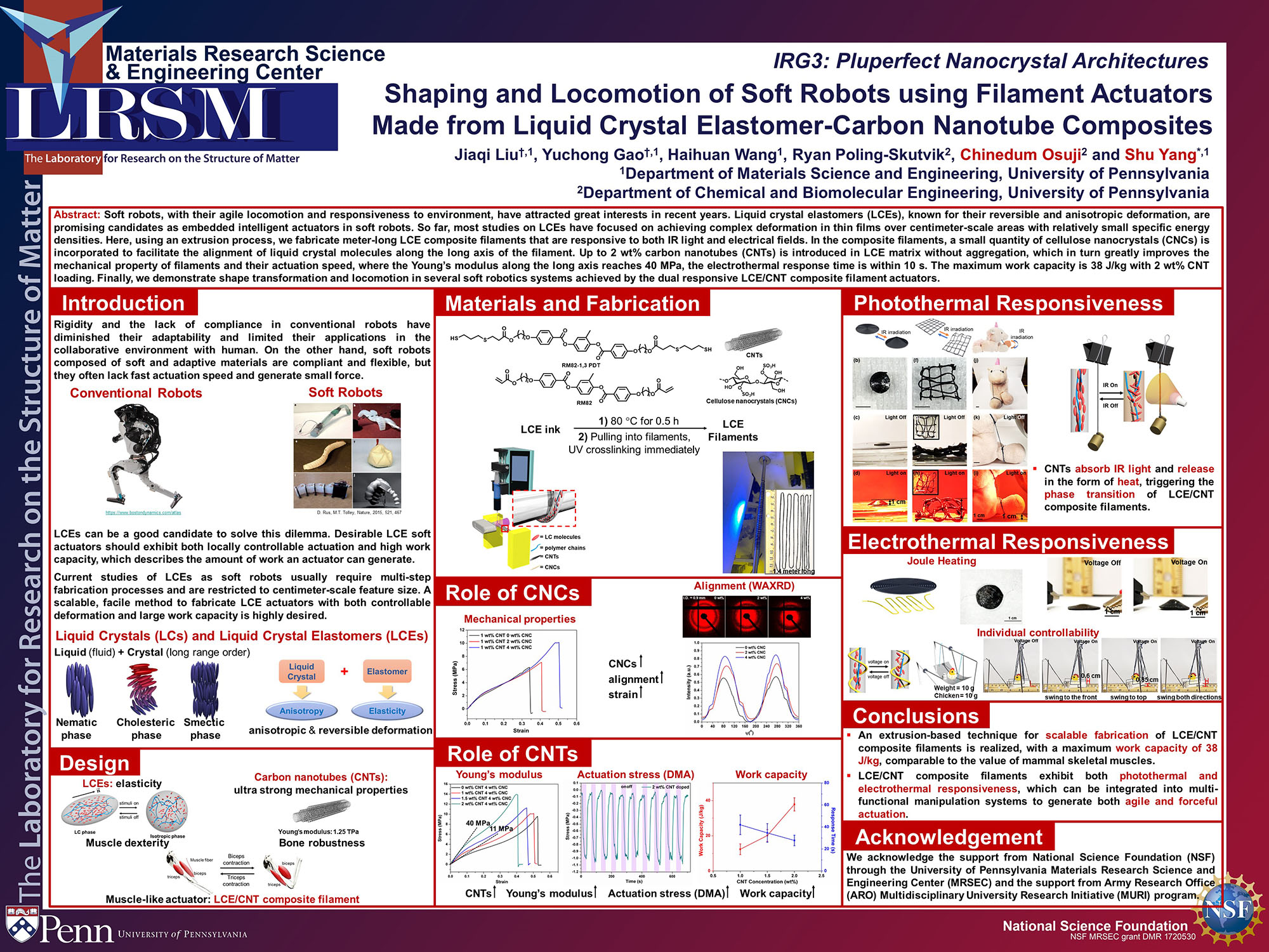 IRG3 Jiaqi Liu Yang poster 2021