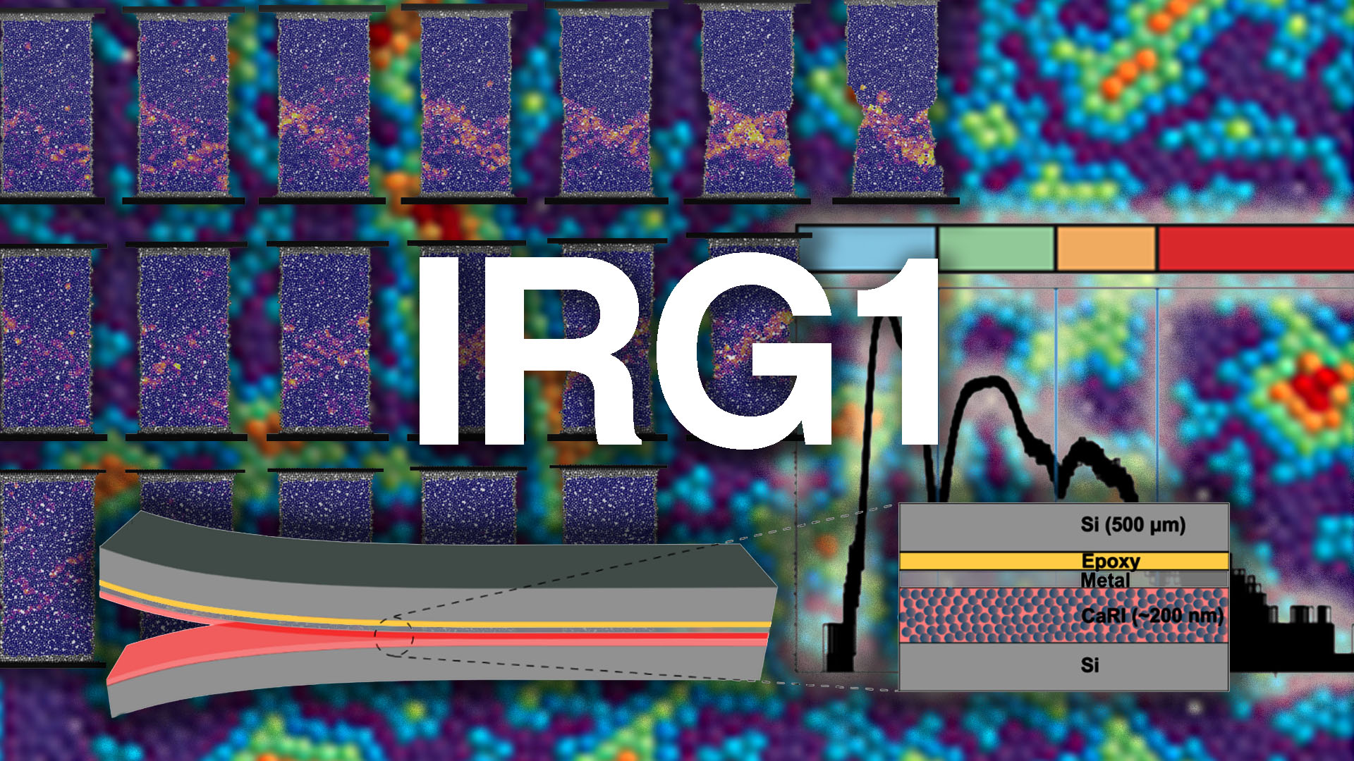 IRG1 Featured Image