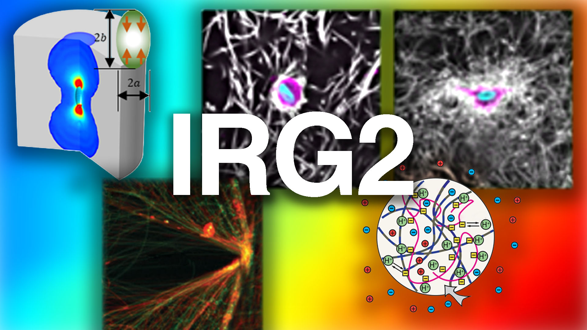 IRG2 Featured Image