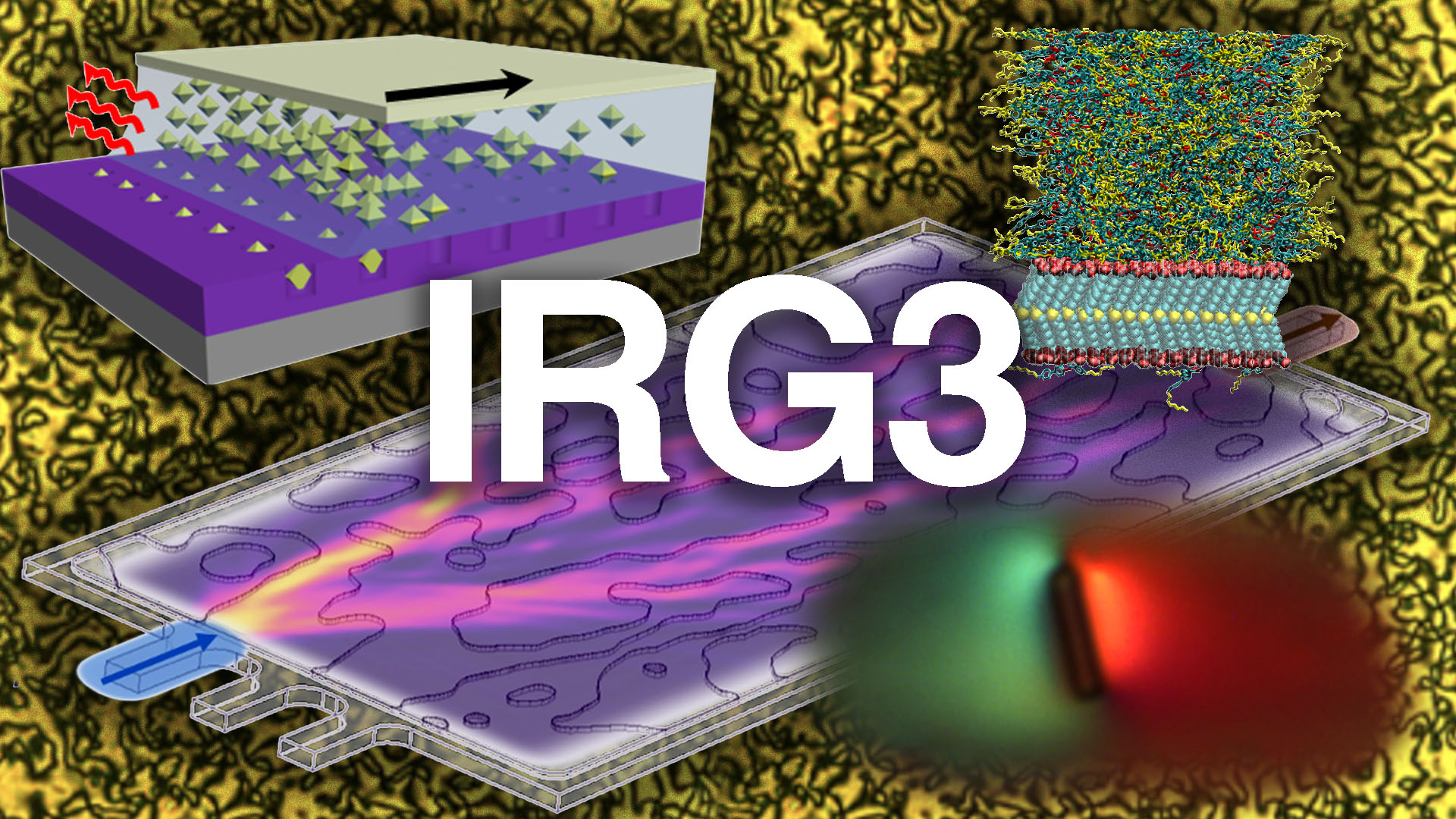 IRG3 Featured Image