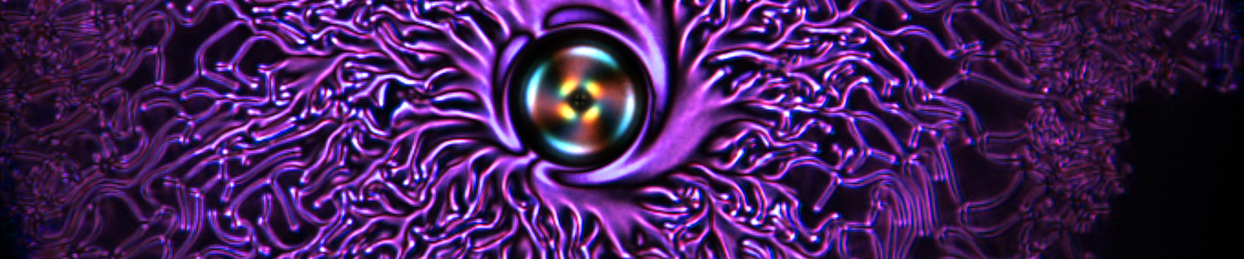 Yodh lobby art slider image