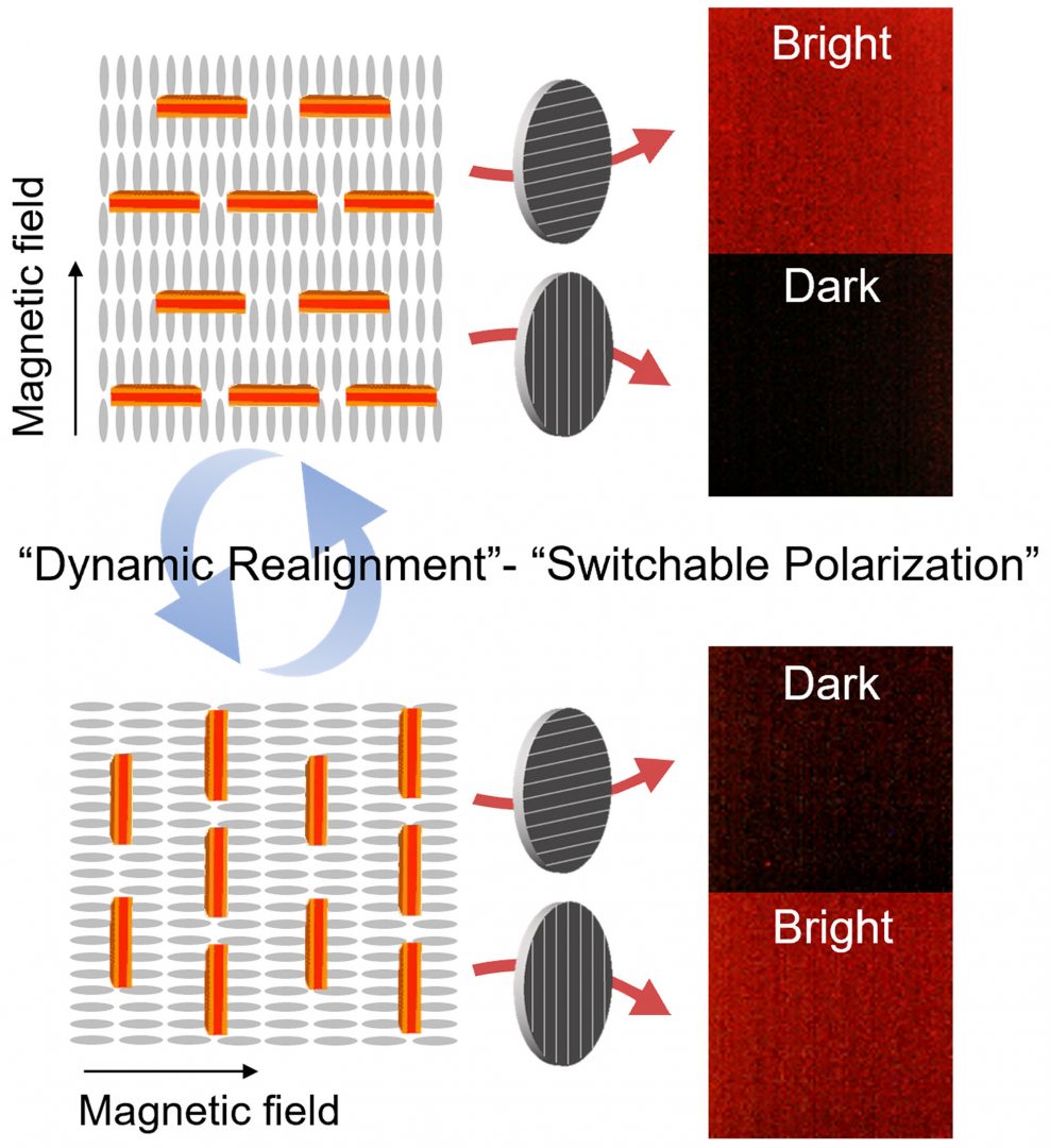 Osuj-Kagan-Murray figure on Switchable Polarization