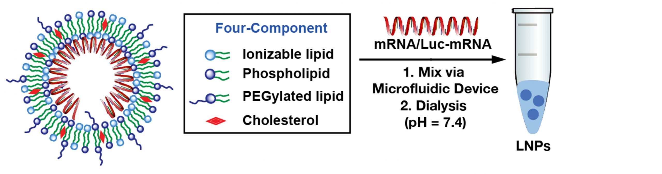Four-component Ionizable Lipid Nanoparticle (LNP) for mRNA vaccines