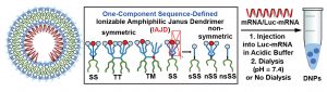 One-component Sequence-Defined IAJD Dendrimersome Nanoparticle (DNP)