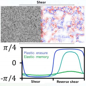 Figure (Top left) Particle suspension subjected to cyclic shear. (Top right) Color code indicating where memories are being lost (red and blue) and where they are retained (white). (Bottom) Reading of memories graph