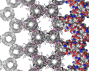 Jeffery G. Saven / Sculpting Protein